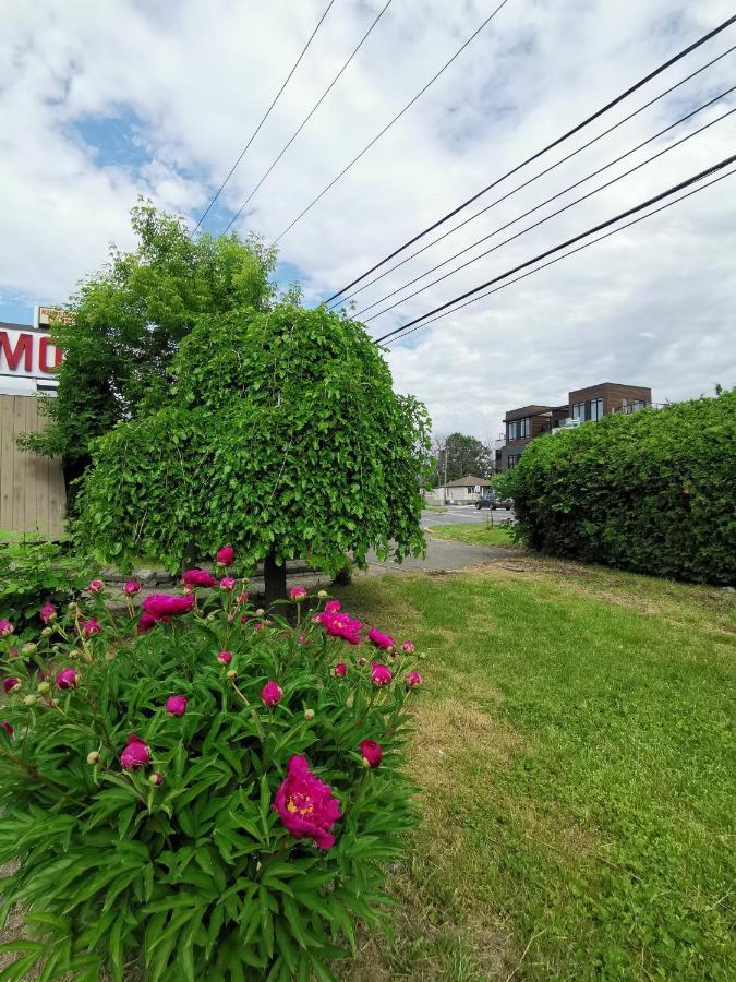 Motel Sainte Catherine Exteriör bild